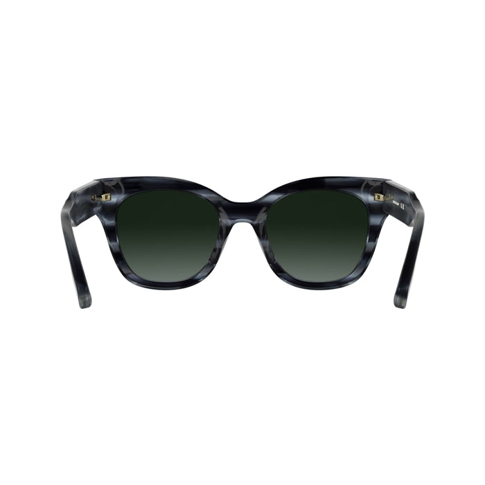 Gafas de Sol Longchamp LO791S 036 51 21 — vista 5