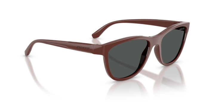Gafas de Sol Arnette AN4379 304887 55 18 — Imagen 4