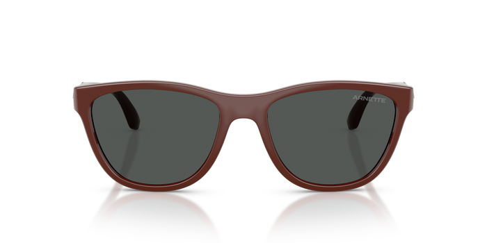 Gafas de Sol Arnette AN4379 304887 55 18 — Imagen 5