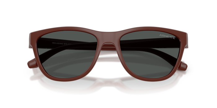 Gafas de Sol Arnette AN4379 304887 55 18 — Imagen 6