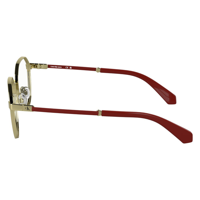 Optical Frames Calvin Klein Jeans CKJ25304 717 49 19 — vista 3