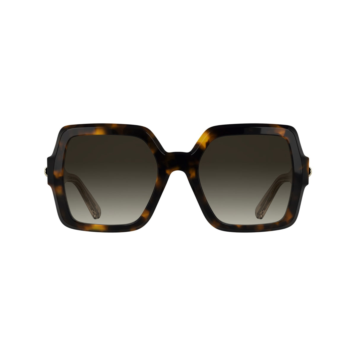 Sunglasses Longchamp LO790S 231 54 22