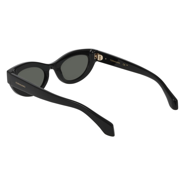 Солнцезащитные очки Ferragamo SF2062SE 001 49 23 — vista 4