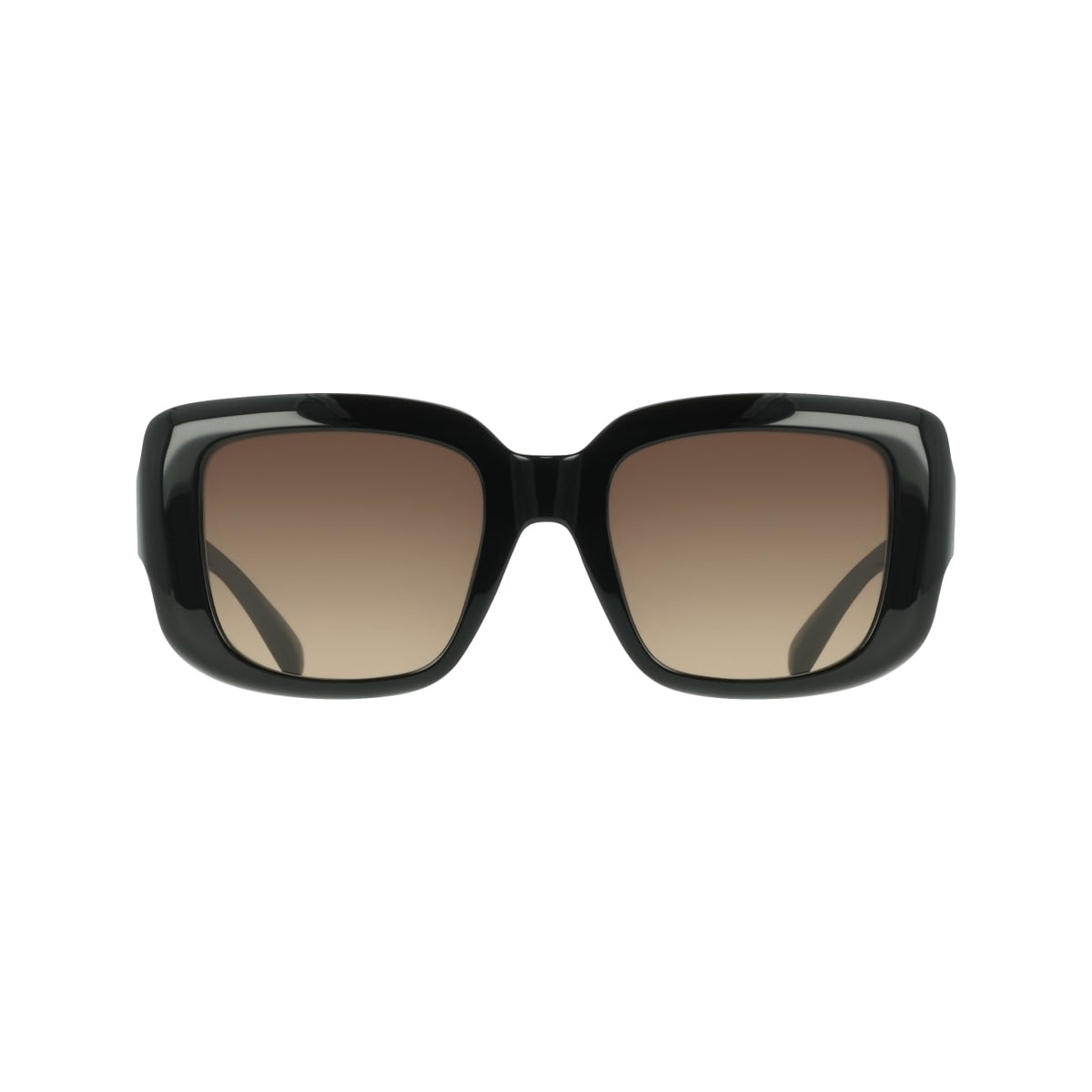 Sunglasses Ferragamo SF2117S 001 52 21