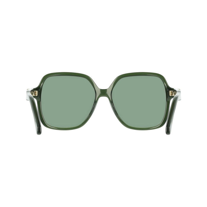 Солнцезащитные очки Ferragamo SF2069SE 317 57 15 — vista 5