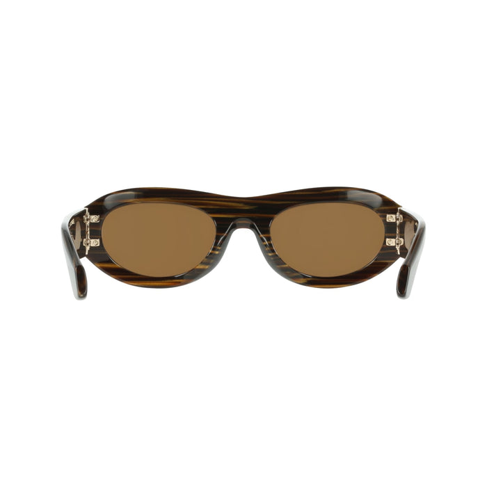 太阳镜 Ferragamo SF2082SE 223 54 23 — vista 5