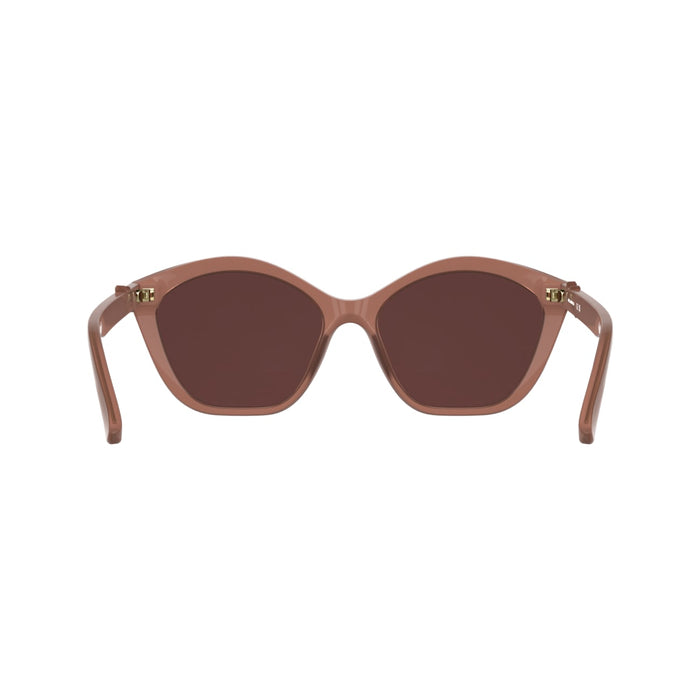 Gafas de Sol Karl Lagerfeld KL6222S 652 57 17 — vista 5