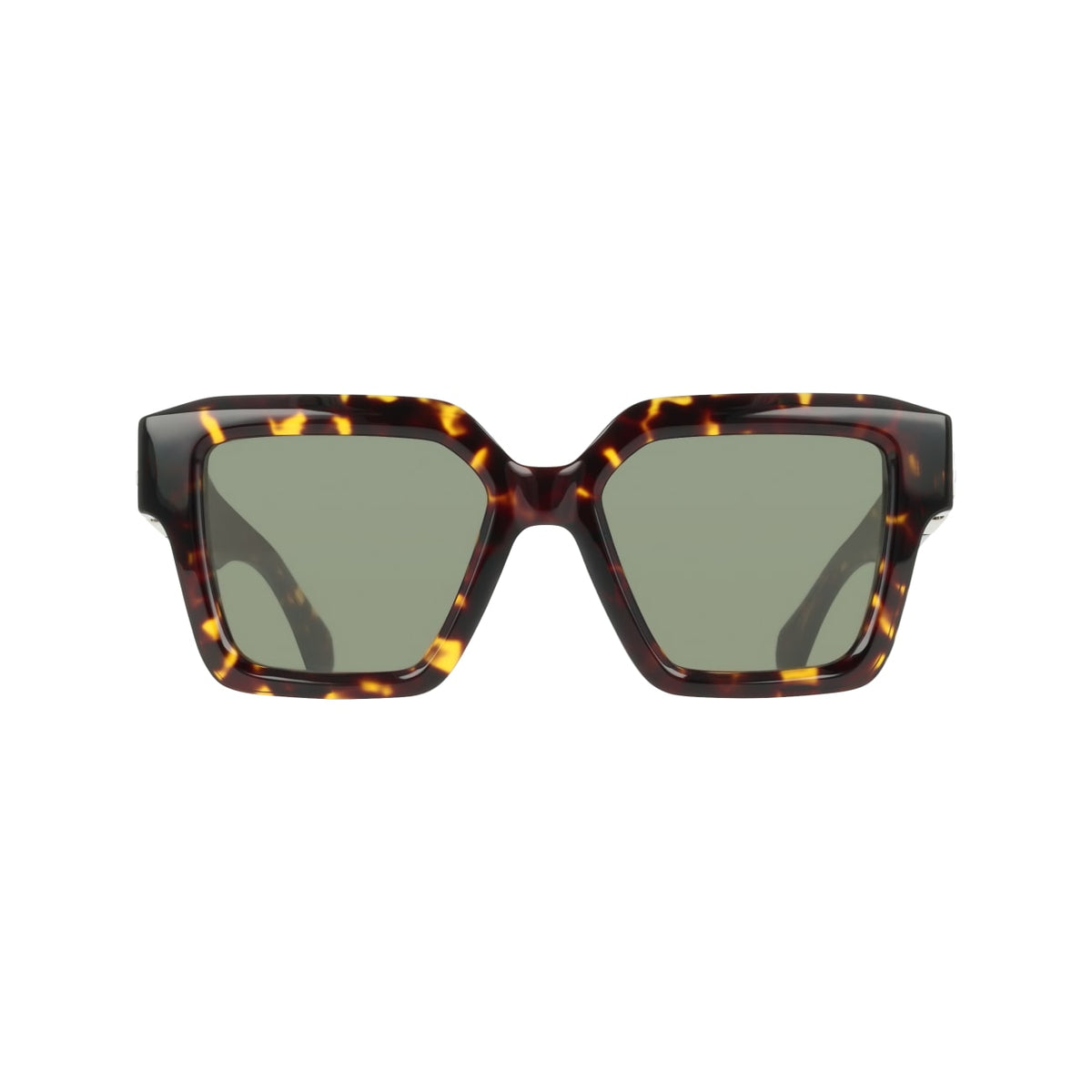 Sunglasses Ferragamo SF2084S 242 53 19