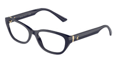Prescription Glasses Jimmy Choo JC3015 5023 55 17