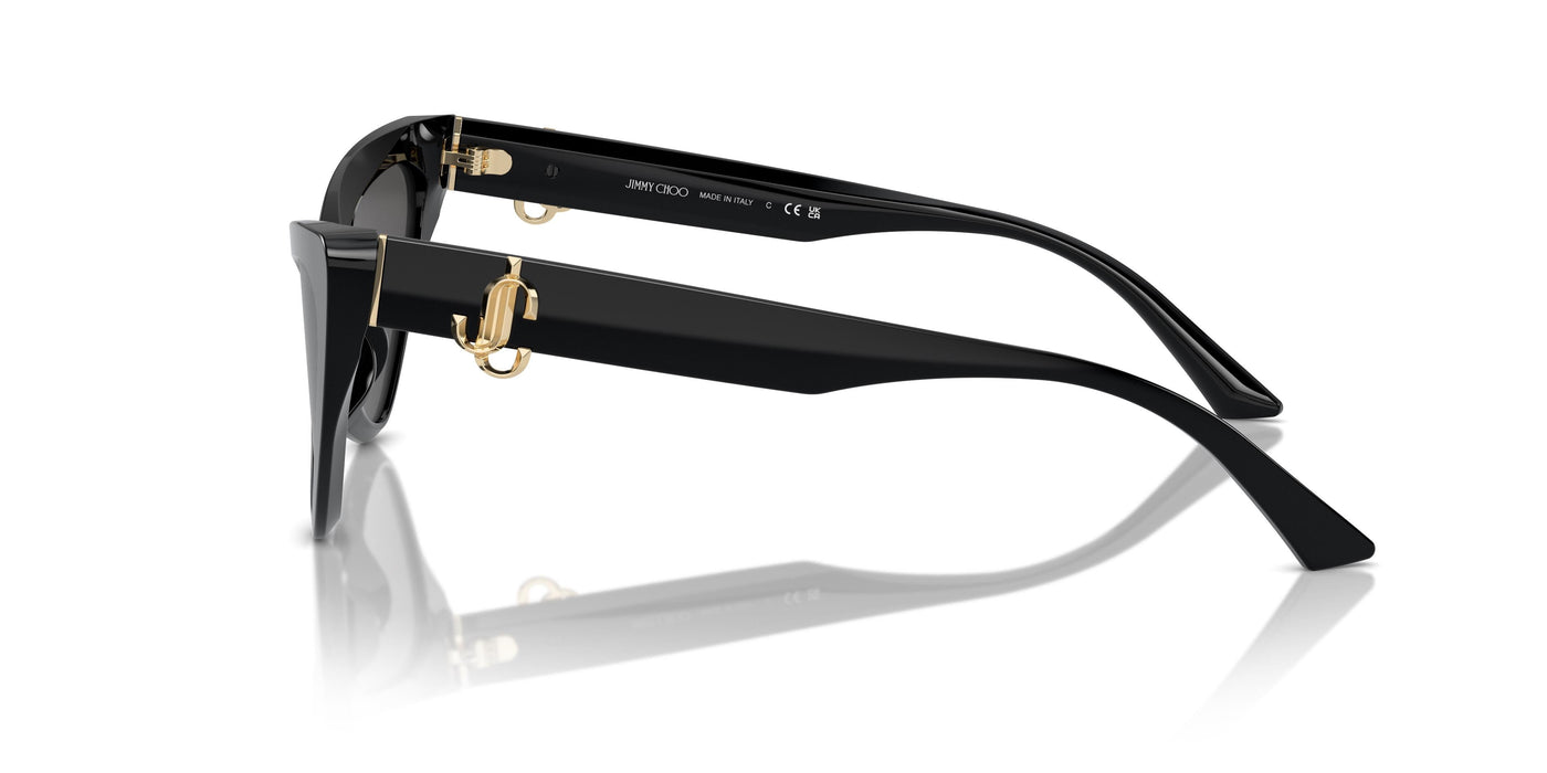 Brille Jimmy Choo JC5008 500087 55 16