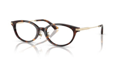 Brille Jimmy Choo JC3029D 5002 52 18
