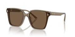 Lunettes de Vue Jimmy Choo JC5016D 505173 61 17