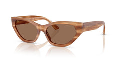 Очки для зрения Jimmy Choo JC5022B 505573 55 16