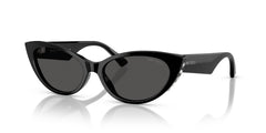 Очки для зрения Jimmy Choo JC5023H 500087 55 16