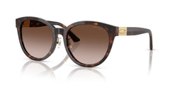 Brille Jimmy Choo JC5032D 50028G 55 18