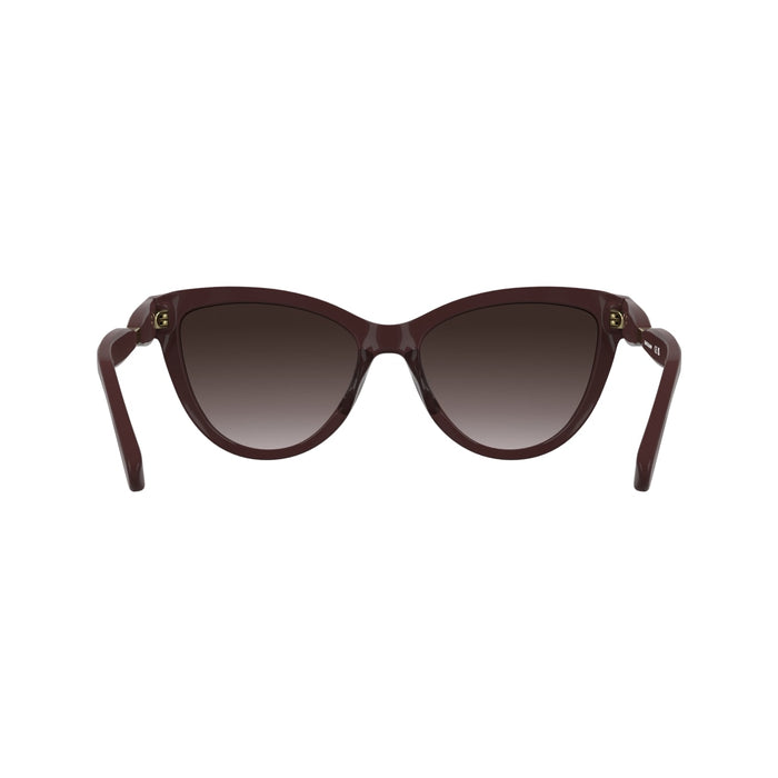 Солнцезащитные очки Longchamp LO804S 601 54 17 — vista 5