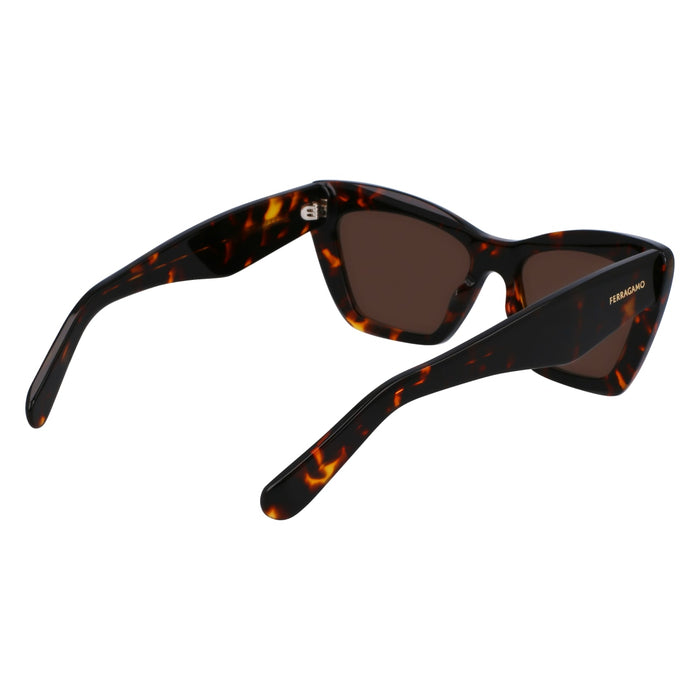 Gafas de Sol Ferragamo SF929SN 242 55 17 — vista 6