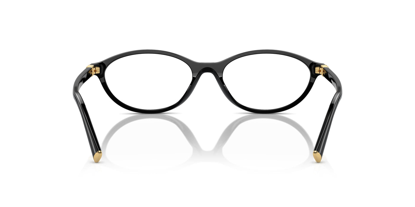 Очки для зрения Miu Miu MU09XV 16K1O1 53 17