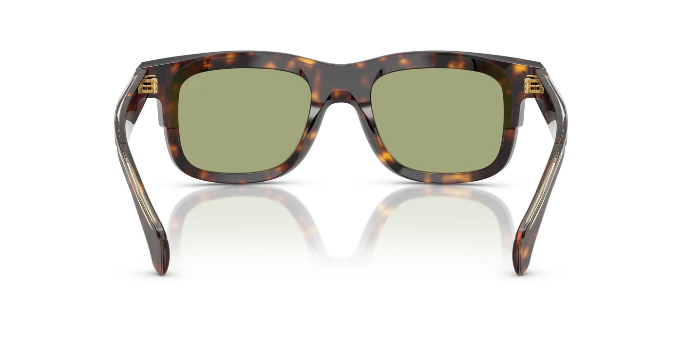 Очки для зрения Moncler CLARO ME6004 300282 51 21
