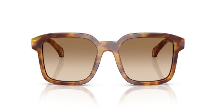 Gafas de Sol Moncler QUADERNA ME6006 301189 53 19 — vista 5