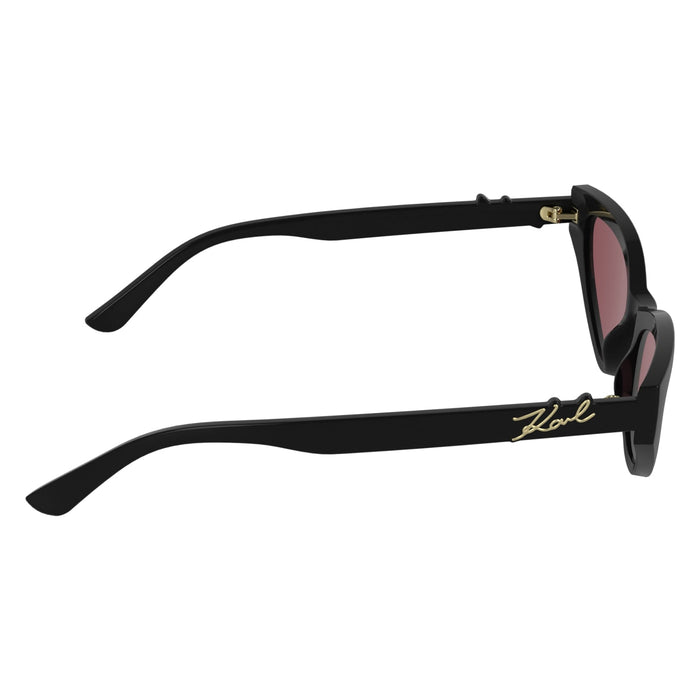 Gafas de Sol Karl Lagerfeld KL6248S 001 54 19 — vista 7