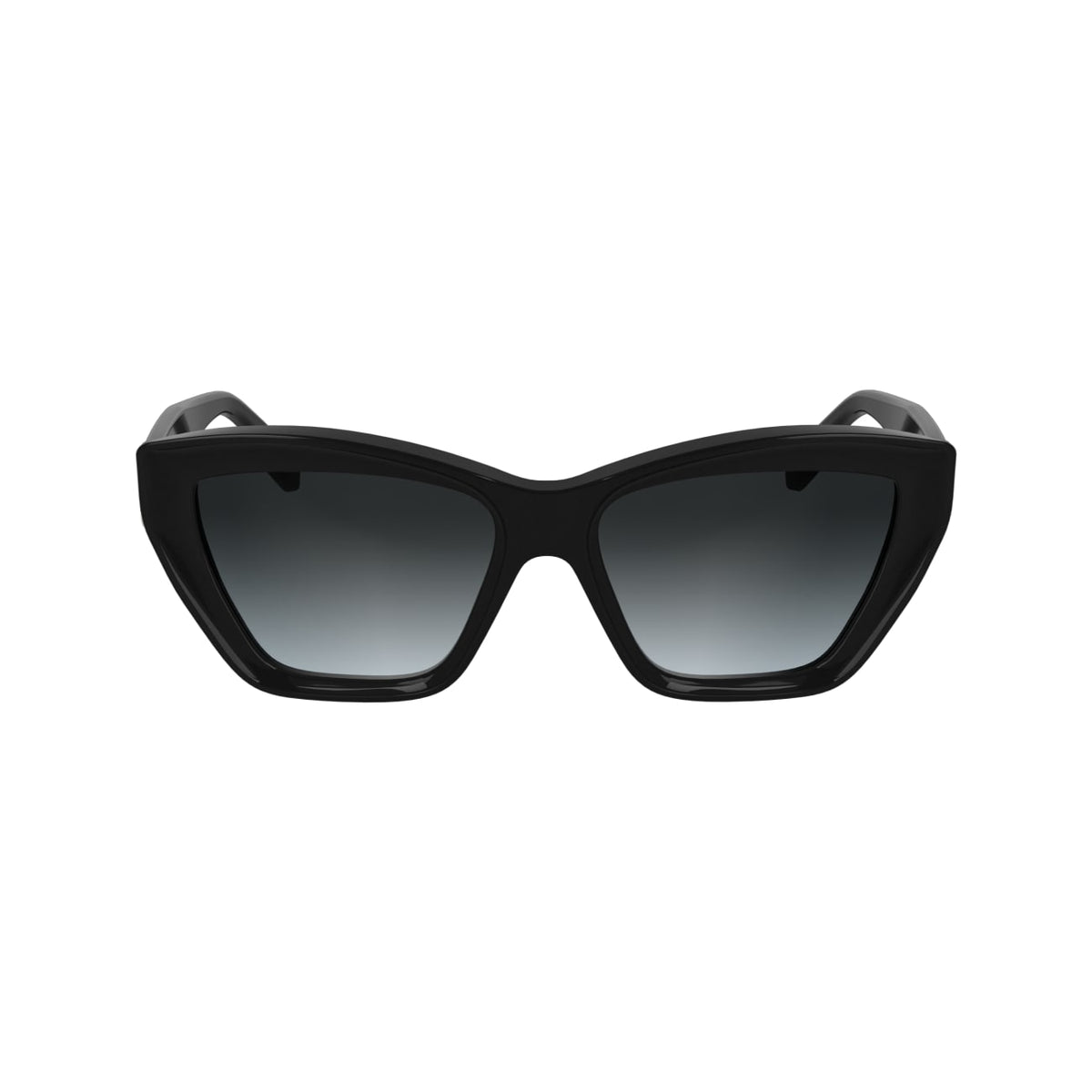 Sunglasses Karl Lagerfeld KL6179S 001 55 16