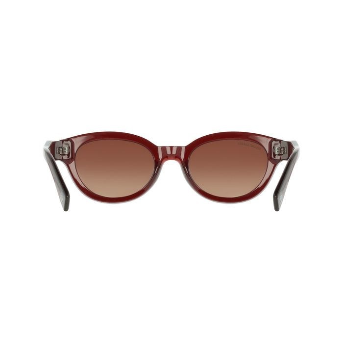 Sonnenbrille Lacoste L6024SRG N 205 52 22 — vista 5