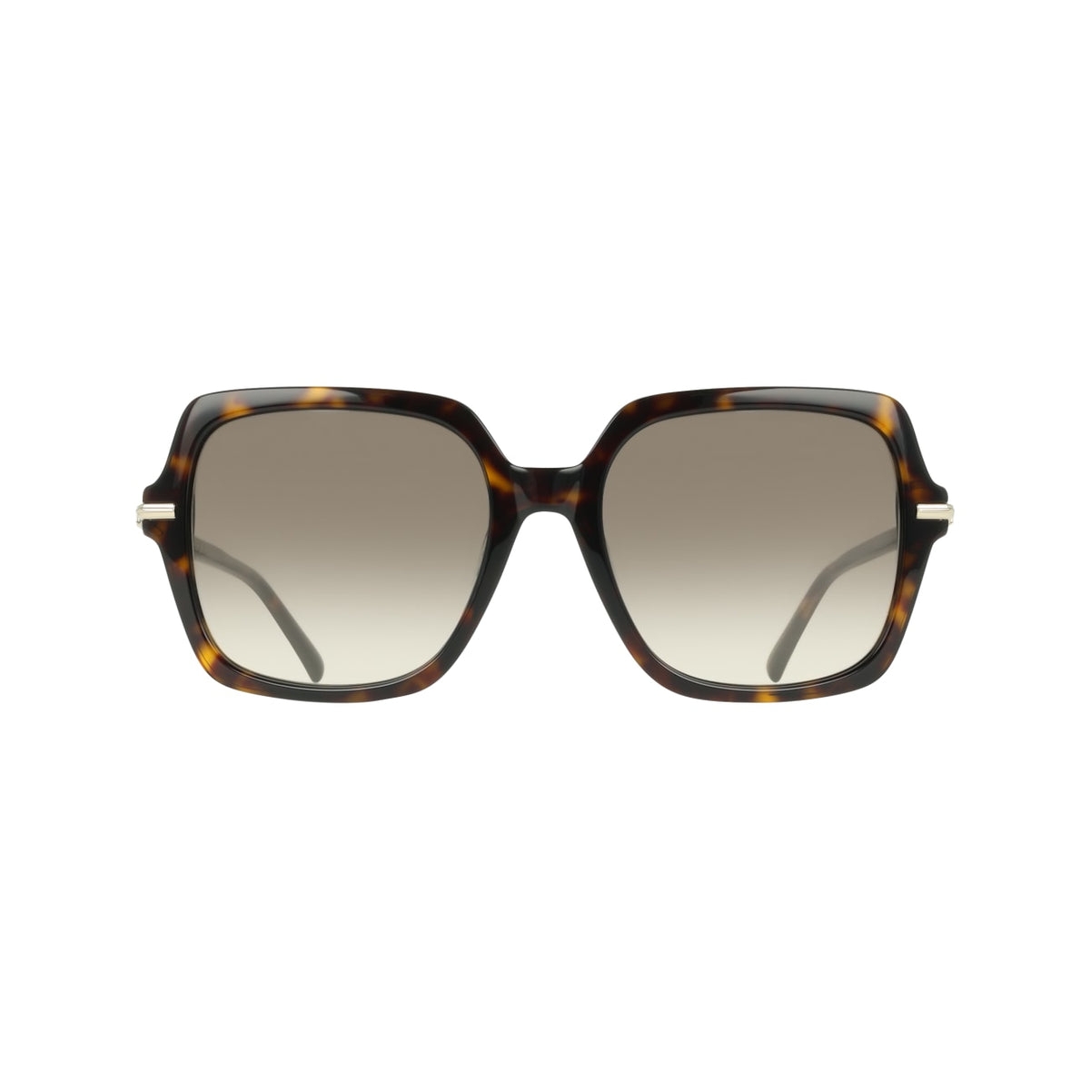 Солнцезащитные очки Ferragamo SF2076S 242 57 19