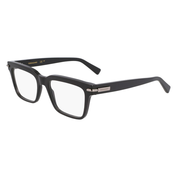 Оправа для очков Ferragamo SF3014 019 53 / 55 18