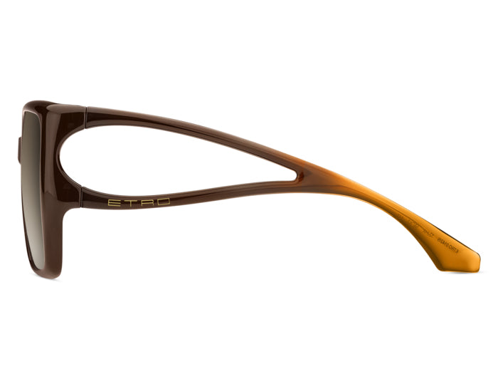 Солнцезащитные очки Etro 0142/S 12JHA 58 17 — vista 4