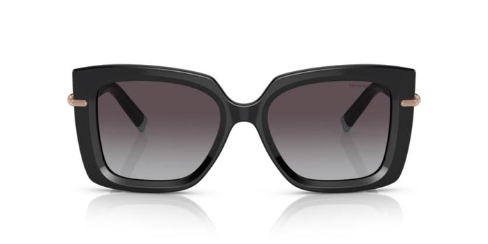Gafas de Sol Tiffany TF4199 80013C 53 18 — vista 2