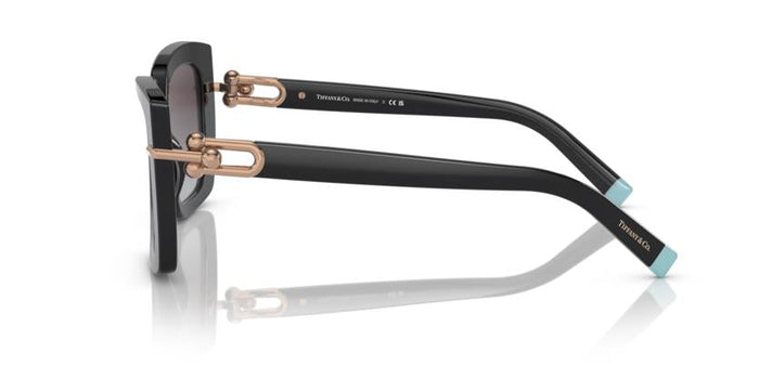 Gafas de Sol Tiffany TF4199 80013C 53 18 — vista 4