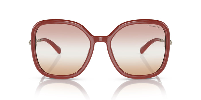 TF4202U — vista 2