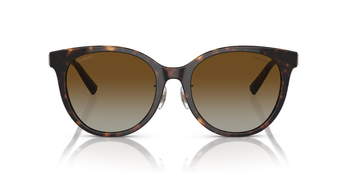 Gafas de Sol Tiffany TF4209D 8015T5 54 19 — vista 2