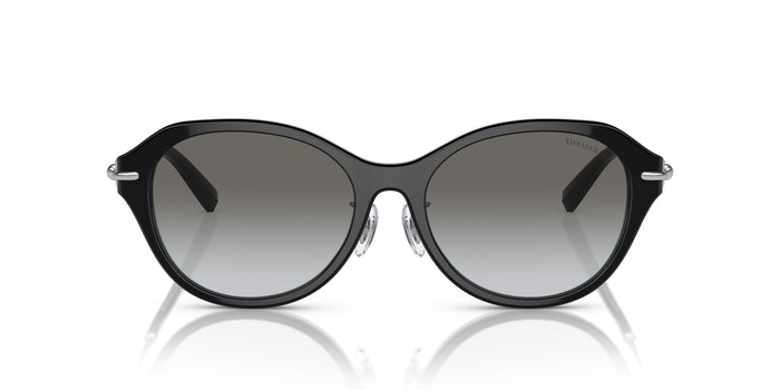 TF4210D — vista 2