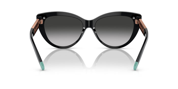 TF4196 — vista 3