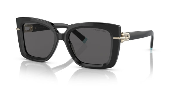 Gafas de Sol Tiffany TF4199 8001S4 53 18