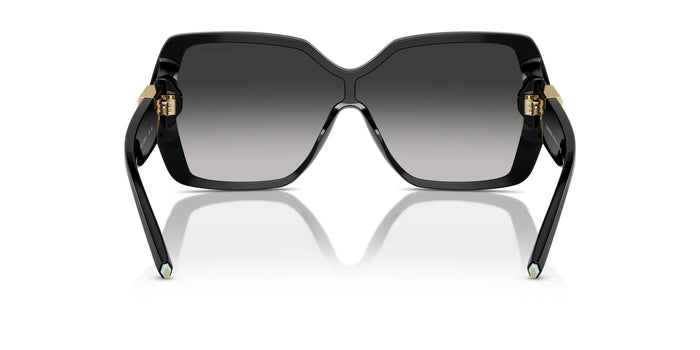 TF4219 — vista 3