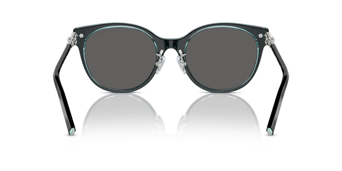 TF4223D — vista 3