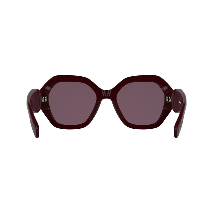 Gafas de Sol Longchamp LO814S 601 55 21 — vista 5