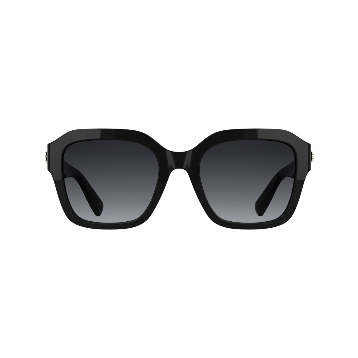 Gafas de Sol Longchamp LO816S 001 53 20