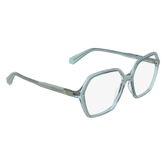 Optical Frames Calvin Klein Jeans CKJ26639 301 55 15 — vista 8