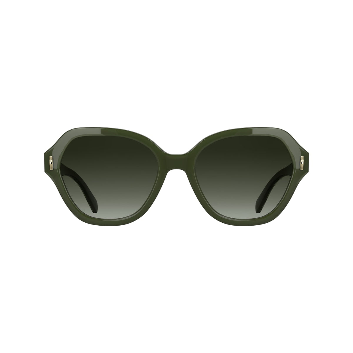 太阳镜 Longchamp LO801S 319 56 19