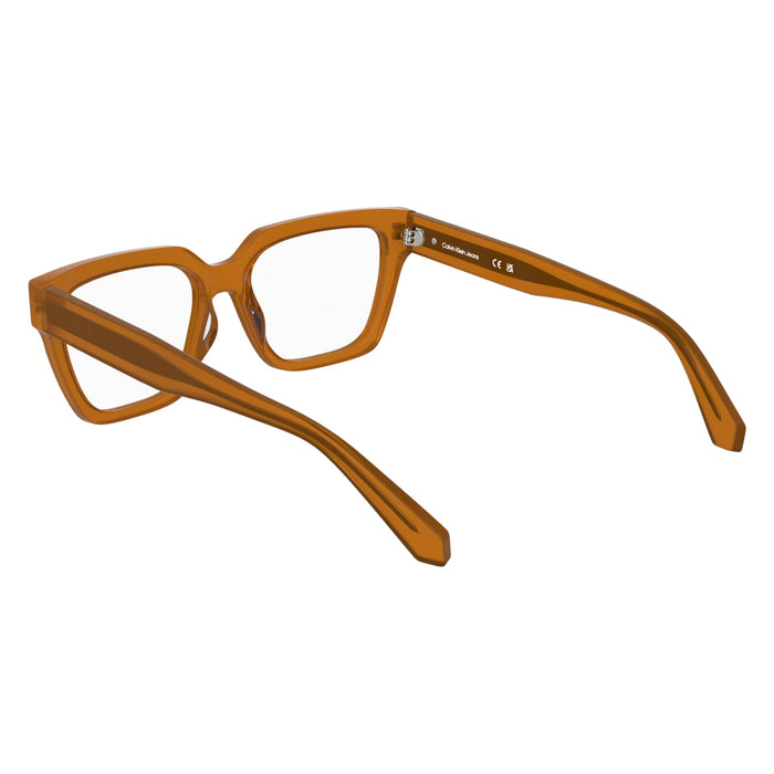 Optical Frames Calvin Klein Jeans CKJ25609 201 54 16 — vista 4