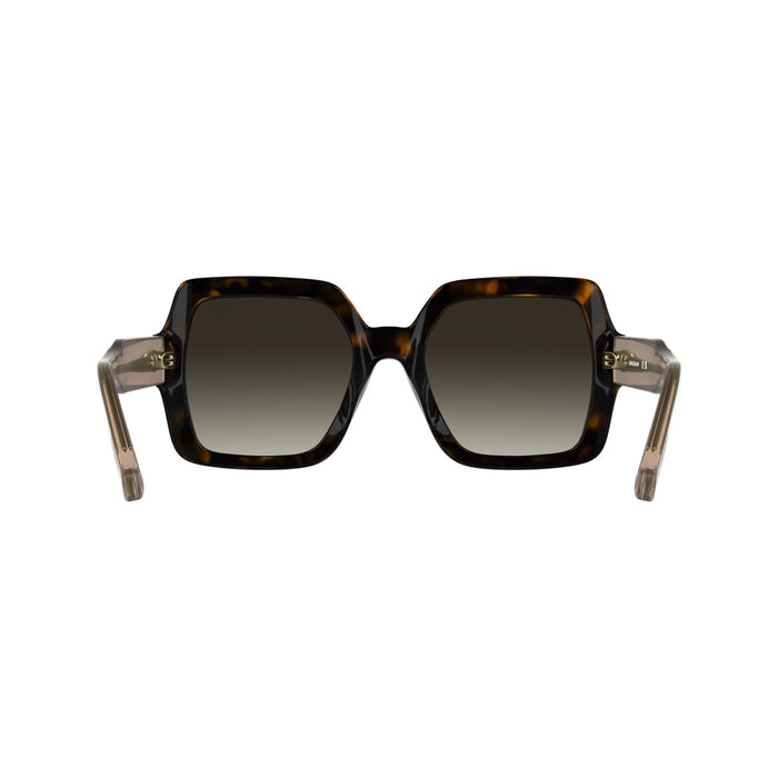 Gafas de Sol Longchamp LO790S 231 54 22 — vista 5