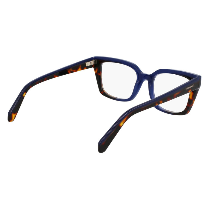 Оправа для очков Ferragamo SF3010 424 52 19 — vista 6